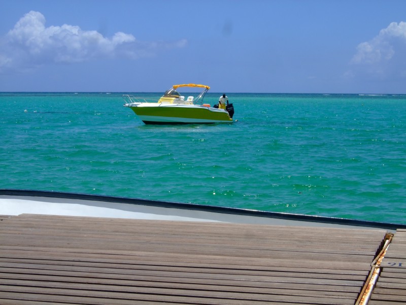 Mauritius 2010 - 0191 